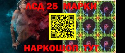 прущие грибы Краснодар