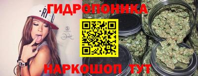 прущие грибы Краснодар