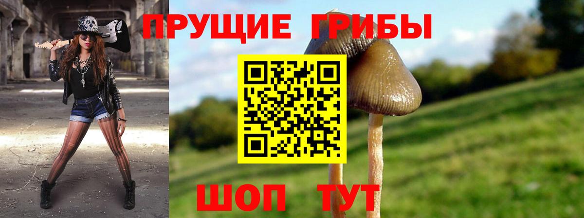 Галлюциногенные грибы прущие грибы  Вход с VPN  где можно купить   Красноармейск 
